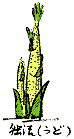 �R�Ɗ�