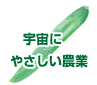 �F���ɂ₳�����_��