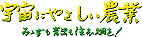 �F���ɂ₳�����_��