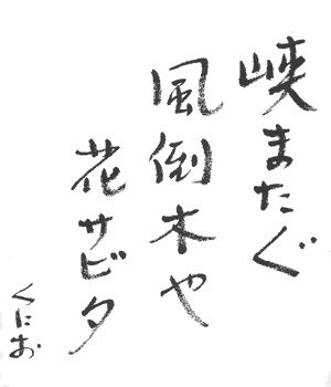 ���R�Ŏ��z�Ԃ̉Ԃ����߂Ĉ��